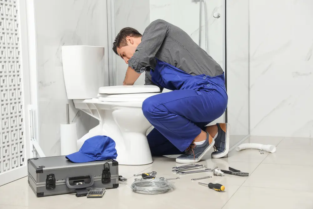 Toilet Installation in Pinehaven